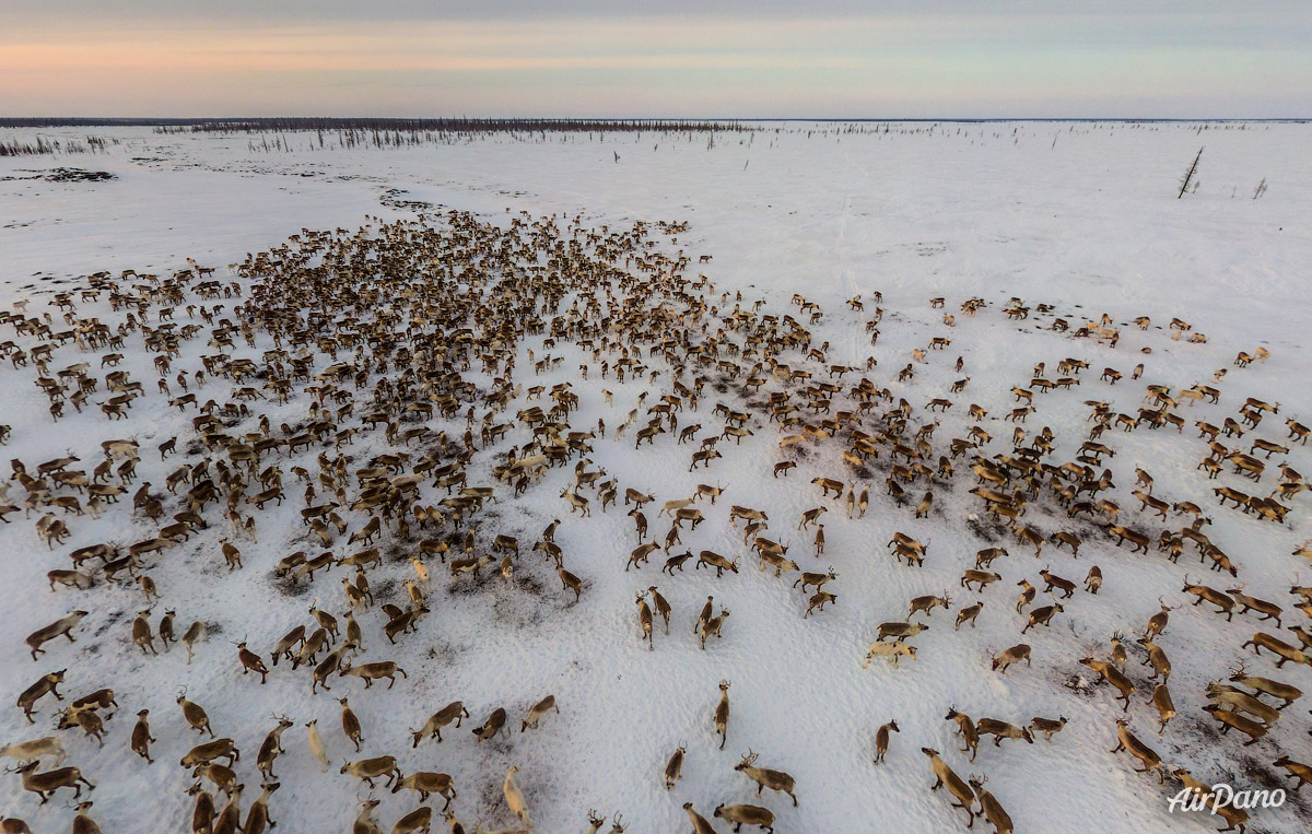 Yamal (Ямал)